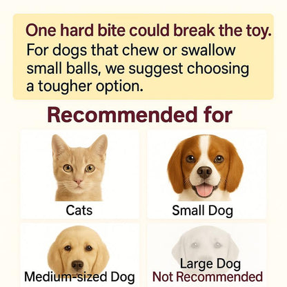 FREE GIFT: 3 Interactive Pet Toys with Your Pet Water Fountain Purchase
